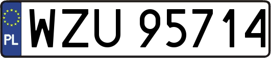 WZU95714