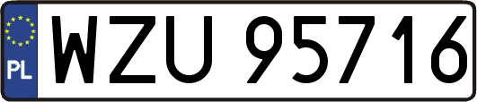 WZU95716