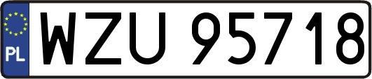 WZU95718