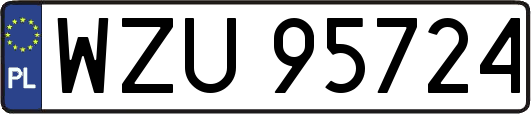 WZU95724