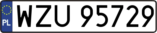 WZU95729