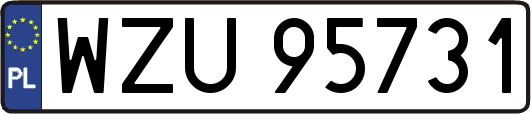 WZU95731