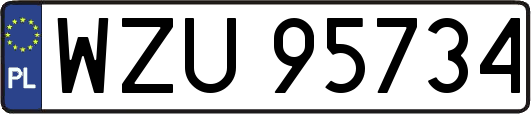 WZU95734