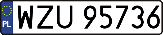 WZU95736