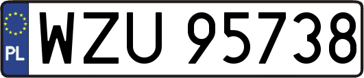 WZU95738