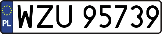 WZU95739