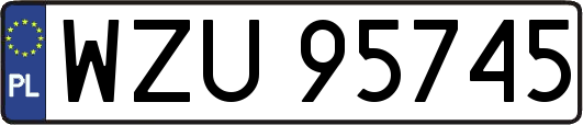 WZU95745