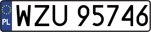 WZU95746
