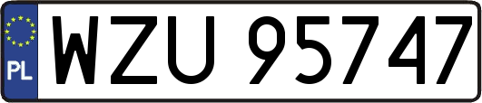 WZU95747