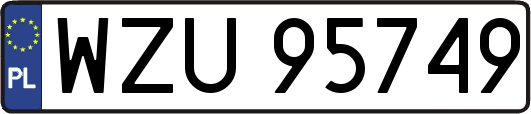 WZU95749
