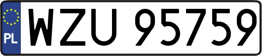 WZU95759