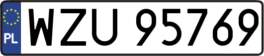 WZU95769