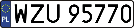 WZU95770