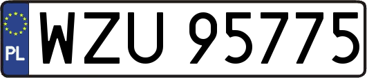 WZU95775