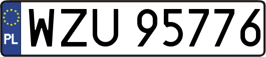WZU95776