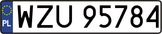 WZU95784