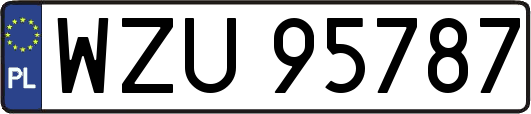WZU95787