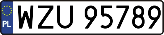 WZU95789