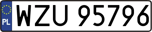 WZU95796