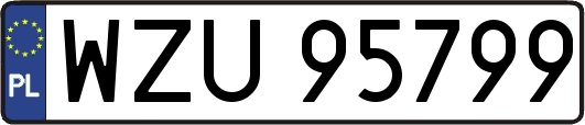 WZU95799