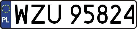 WZU95824