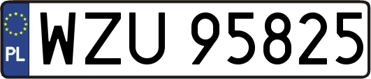 WZU95825