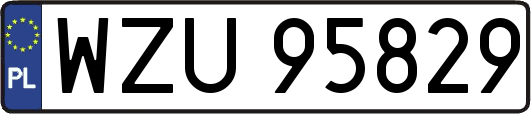WZU95829