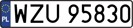 WZU95830