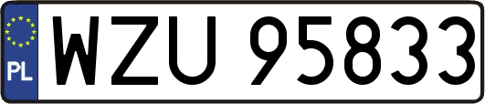 WZU95833