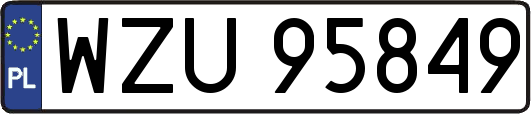 WZU95849