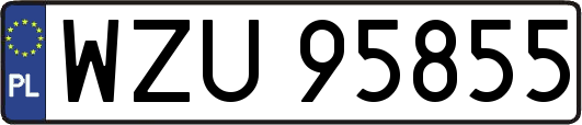 WZU95855