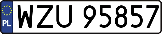 WZU95857