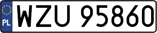 WZU95860