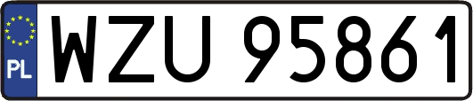 WZU95861