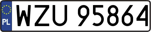 WZU95864