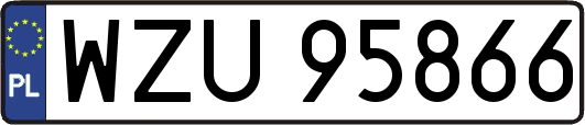 WZU95866