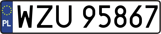 WZU95867