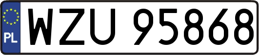 WZU95868