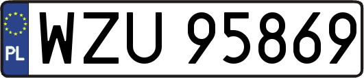 WZU95869