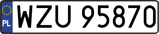 WZU95870