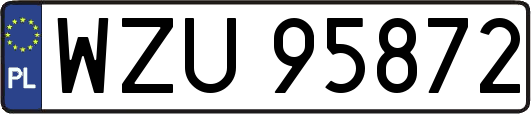 WZU95872