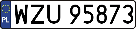 WZU95873