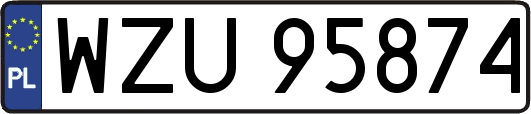 WZU95874