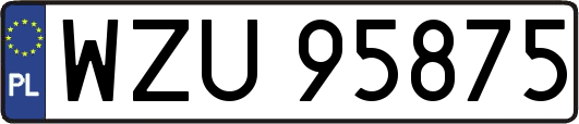 WZU95875