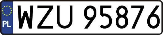 WZU95876