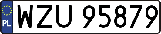 WZU95879