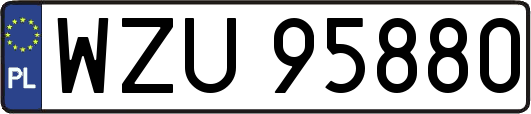 WZU95880