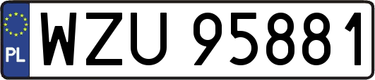 WZU95881