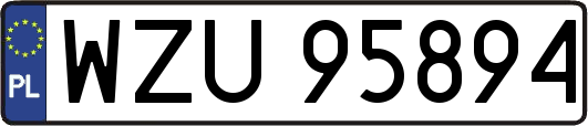WZU95894