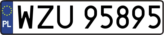 WZU95895